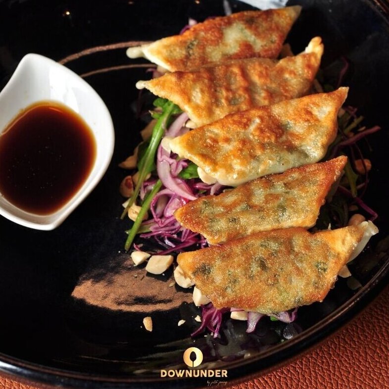Vegan Vegetable Gyoza
