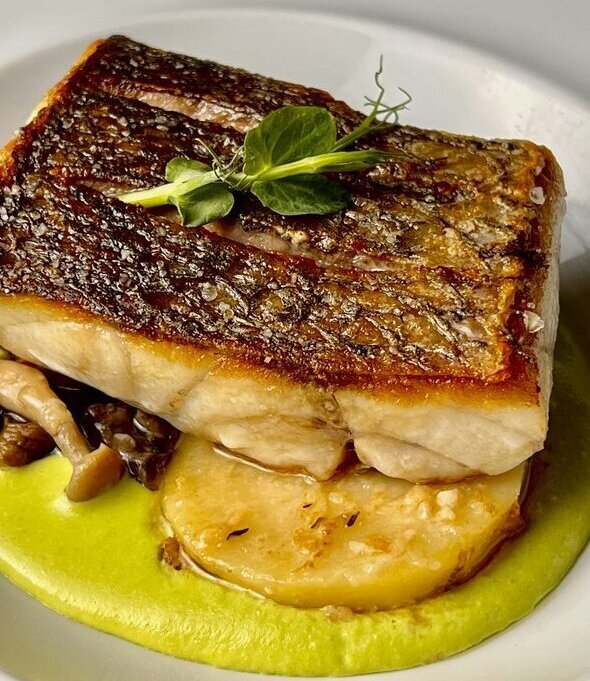 Corvina Fillet